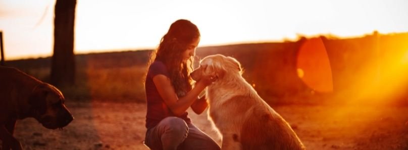 Cuida a tus mascotas con el seguro Medipet