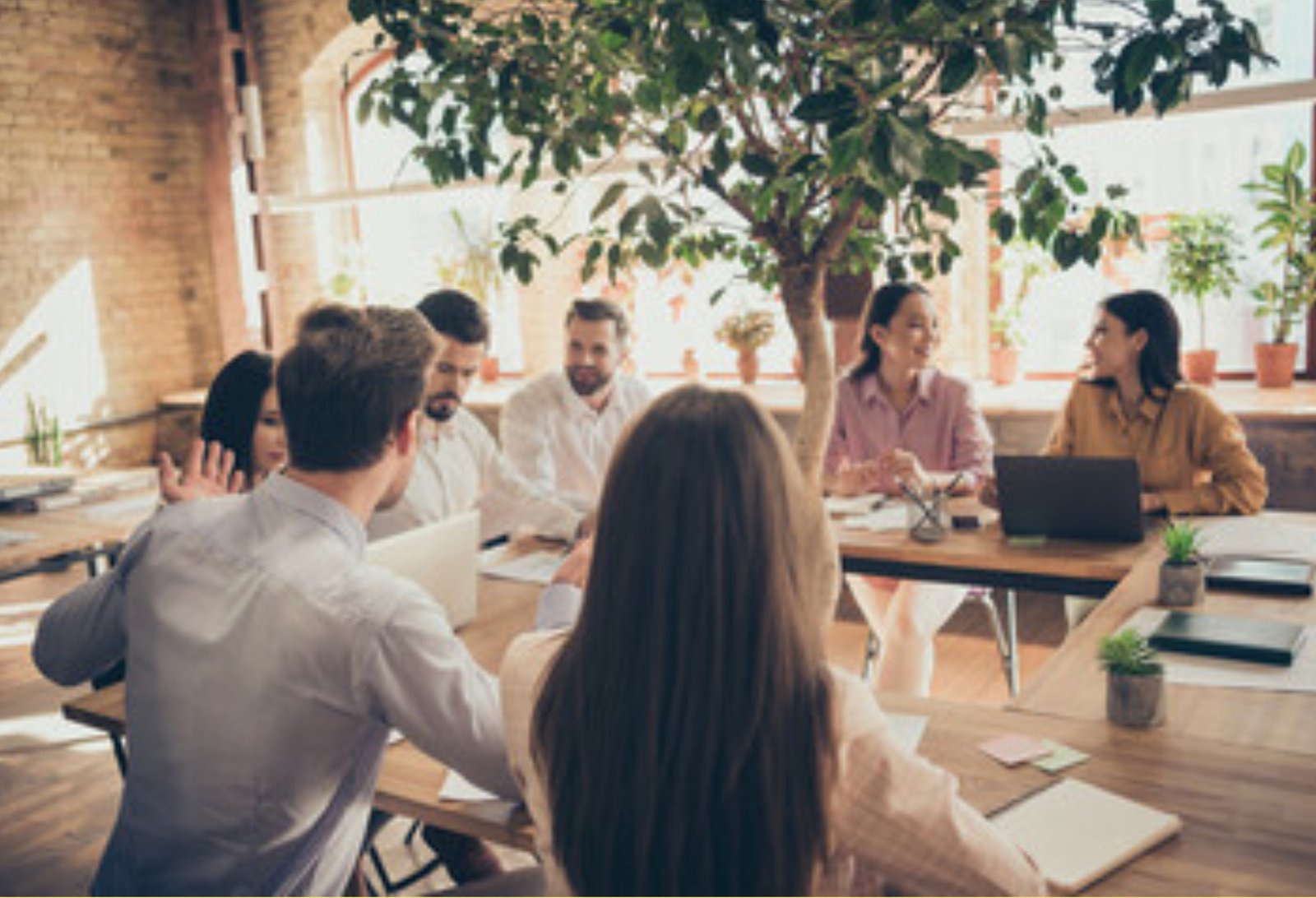 Qué cubre un seguro para empresas