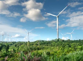 El papel de los seguros en la promoción de prácticas sostenibles y responsables en México