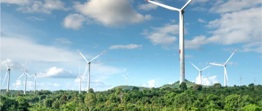 El papel de los seguros en la promoción de prácticas sostenibles y responsables en México